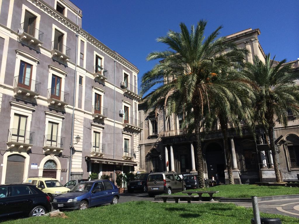 Cutelli